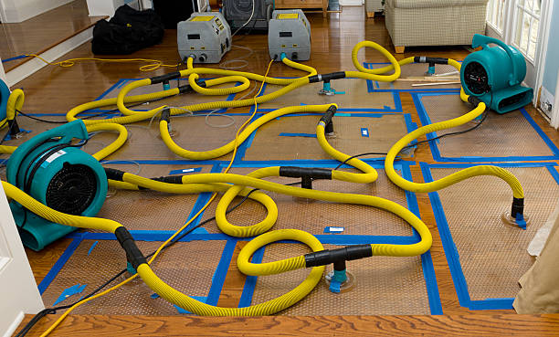 Professional Sewage Cleanup technician working in Plant City, FL